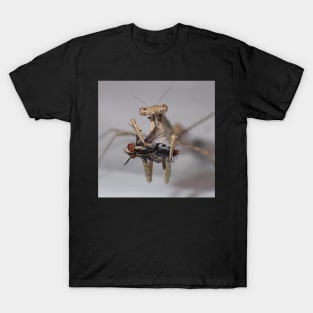 Praying Mantis with a fly. T-Shirt